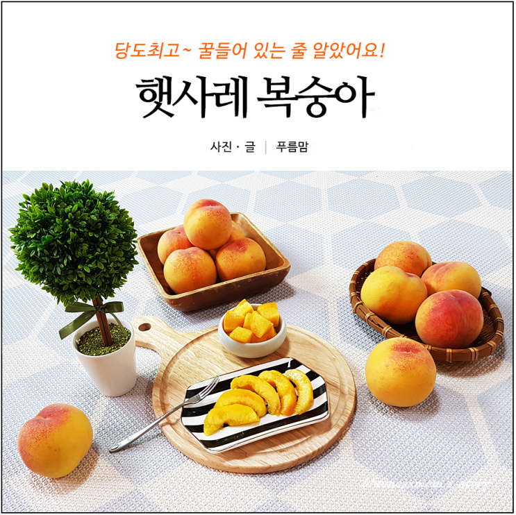  당도최고 황도 햇사레 복숭아 안에 꿀들어 있는줄 알았어요~