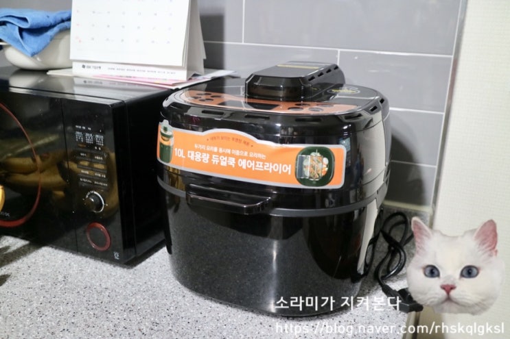  NS홈쇼핑 매직쉐프 10L 대용량 듀얼쿡 에어프라이어 추천 (장작구이 요리 대성공)