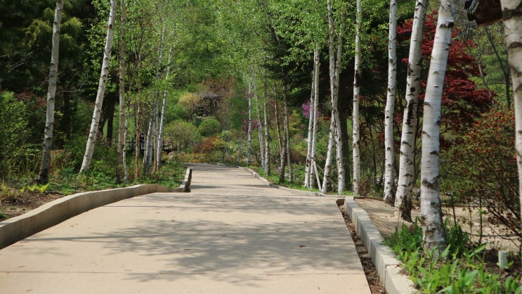 반도체 소재 일본 의존? 한국 조립산업과 일본 기초산업 무역전쟁? 한일 갈등