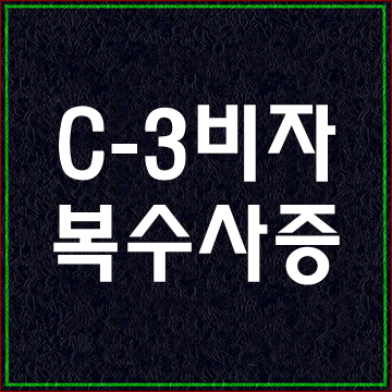  동남아국가 국민에 대한 복수사증 발급(C-3-1~C-3-9비자)