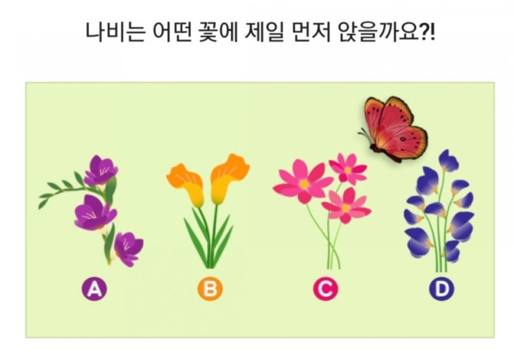 연애 심리테스트-나비는 어떤 꽃에 제일 먼저 앉을까?
