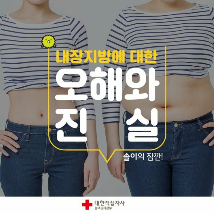  내장지방에 대한 오해와 진실