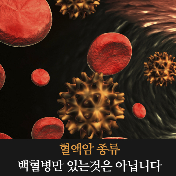  혈액암 종류 백혈병만 있는것은 아닙니다