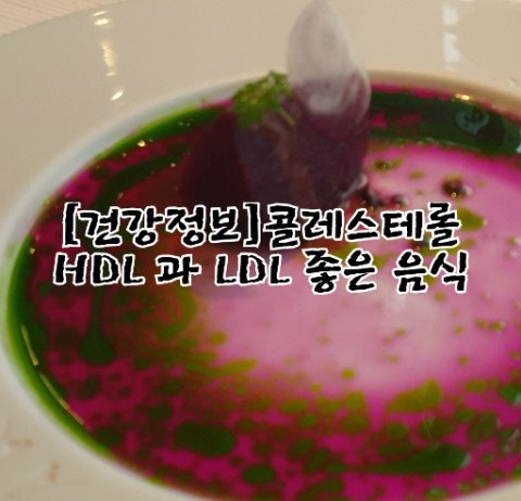 HDL콜레스테롤 낮으면 높으면 : 9
