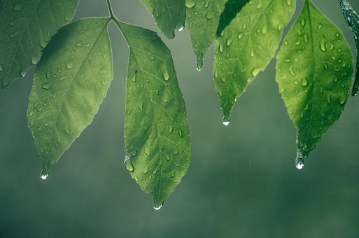  마담모니카/2019년 하반기(7월~12월)운세/양자리(원문)