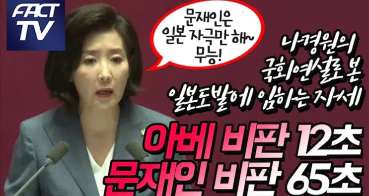  나경원의 국회 교섭단체 대표연설로 본 일본도발에 임하는 자세(나경원의 40분 문재인 저주 연설)와 일본 불매운동 & 문재인 케어