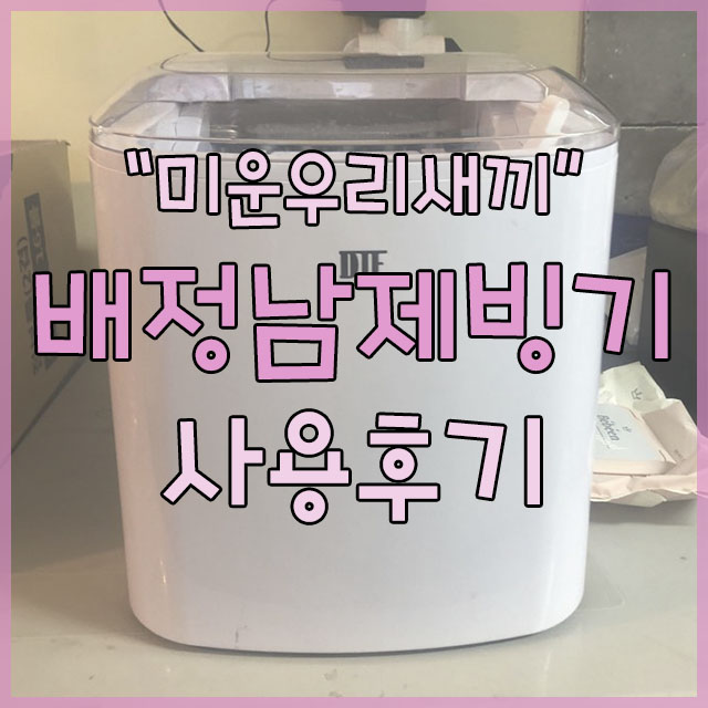  배정남 제빙기로 더위탈출 했어요!