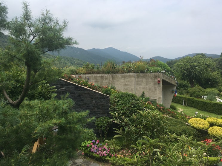  남해 원예예술촌,박원숙 카페 가보기