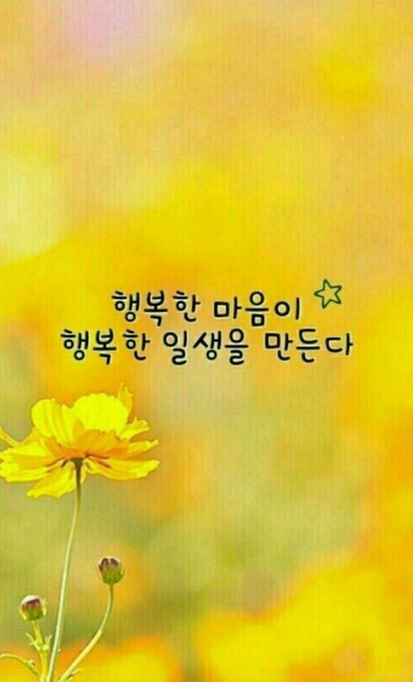  7월4일 목요일 아침뉴스와 신문브리핑