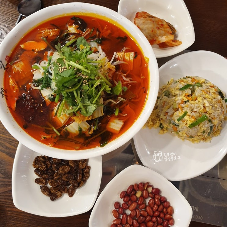  부엉일상 / 마라처돌이