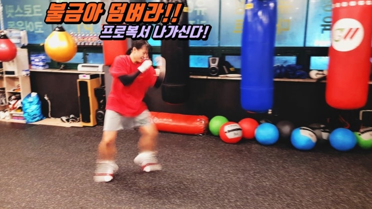  [팀타이거 복싱&크로스핏 소속 여성 프로복서! 구현아 선수의 신인왕전 참가 및 생일기념스페셜 포스팅]독산동 복싱 시흥동 복싱 금천구 복싱 소하동 복싱 하안동 복싱 난곡동 복싱