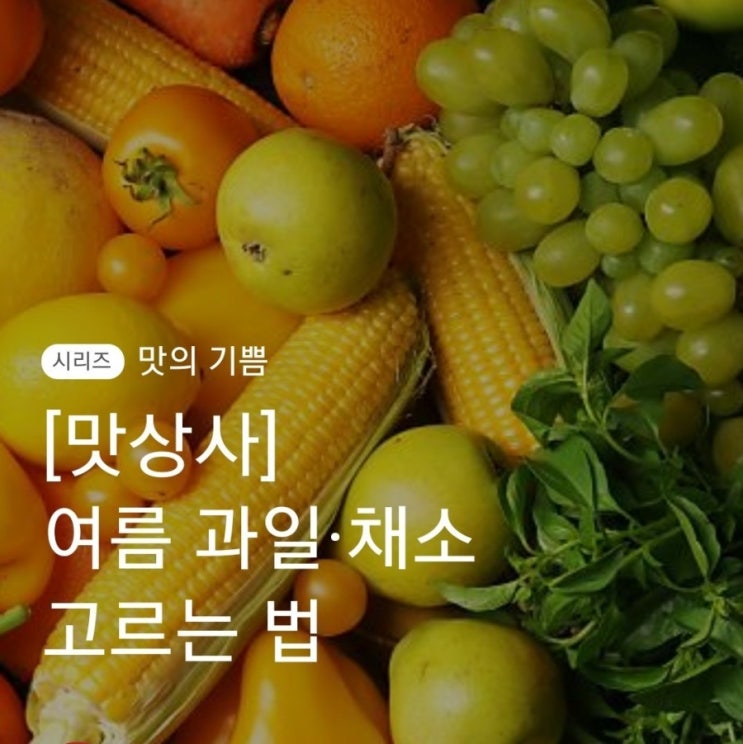  여름 과일 채소 고르는 법