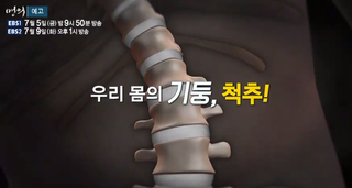  [명의]허리가 아프신가요? 허리 통증 조대진 교수 신경외과 전문의 병원 단순 요통 병적 요통 추간판 탈출증 허리 디스크 척추관 협착증 척추전방전위증 발가락 마비 620회