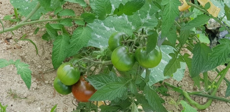  오늘의  뉴스