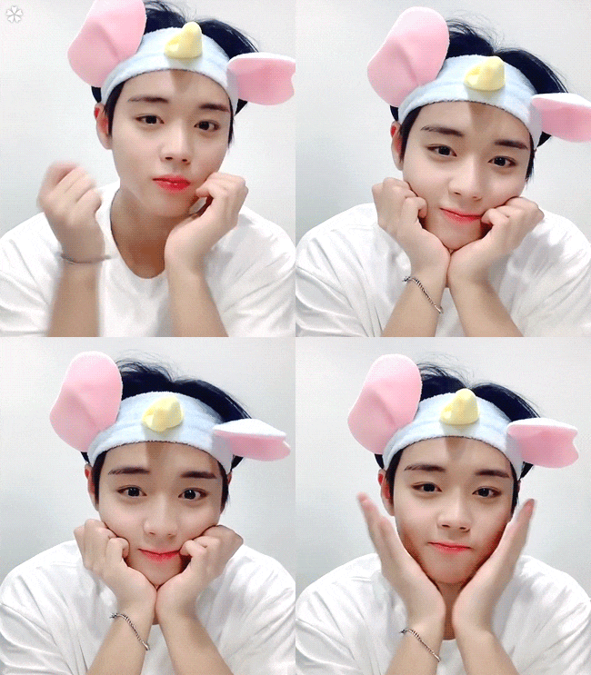  박지훈 지니뮤직어워드 남자신인상, 인기상, 대상 후보 투표가즈아