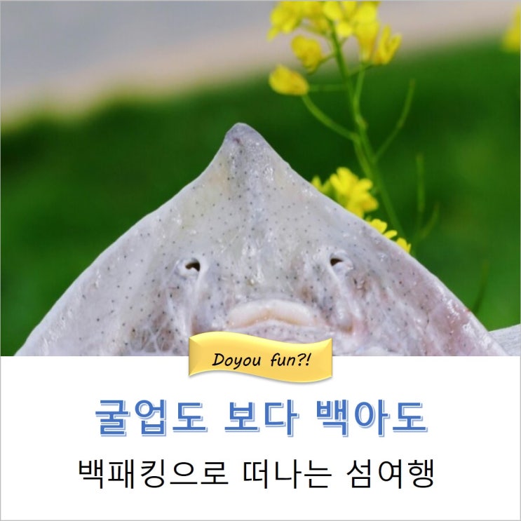  섬여행  굴업도 보다 백아도