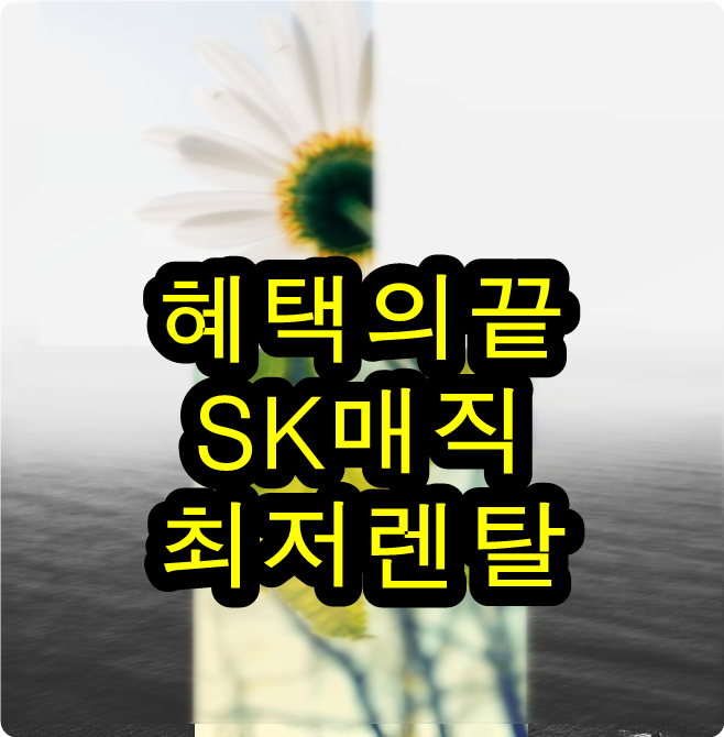  비데설치비용 대박찾아냄