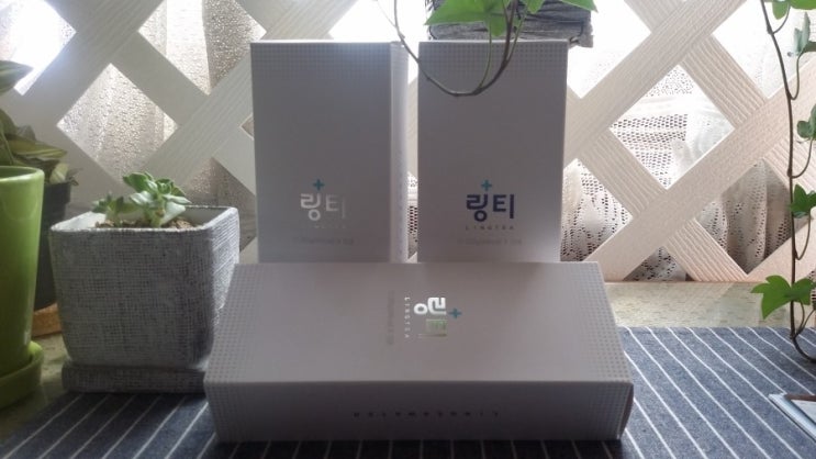  링티 ! 이런분들게 추천드립니다 