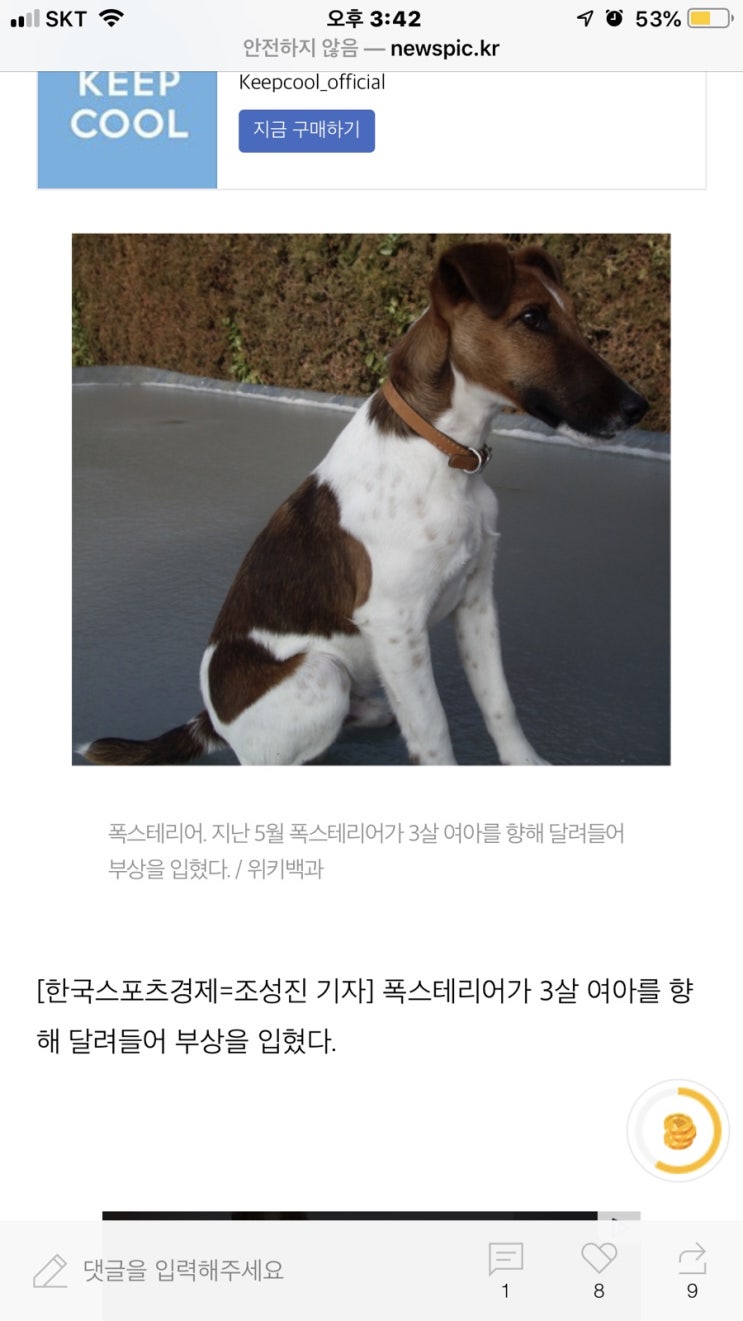 폭스테리어,3살 여아 물어 뜯어..네티즌 공분