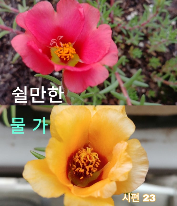 전미선, 우울증 85%는  운동 치료가능.역사는 잔인해도 생명은 아름답다.