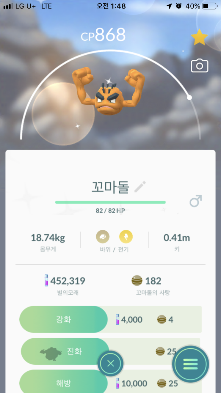  알로라 꼬마돌 이로치