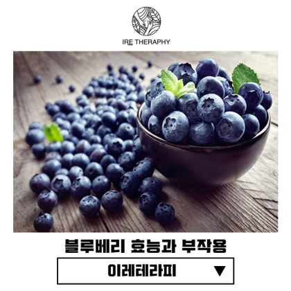 10가지 블루베리 효능 7