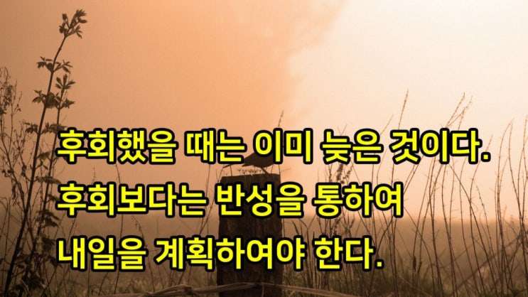 BJ케이 사과문
