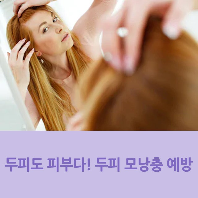 모낭충 제거방법 얼굴,두피 관리에 필수 1