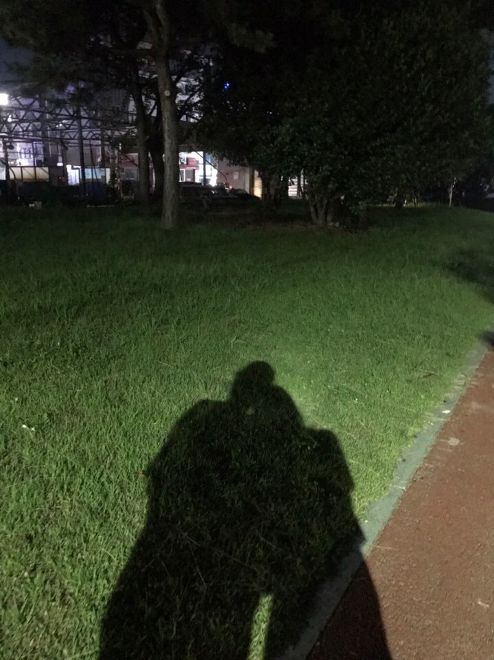 여름같은 여름