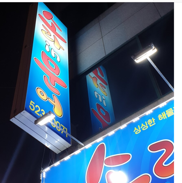  장기동문어.소라집