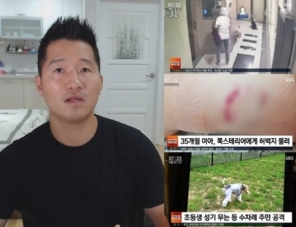 "안락사 하는 것이 옳다"…단호한 강형욱, 폭스테리어 견주에 경고 "안락사 하는 것이 옳다"…단호한 강형욱, 폭스테리어 견주에 경고