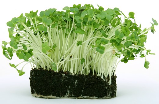  마리끌레르/주간운세/2019년 7월7일~7월13일/전체별자리