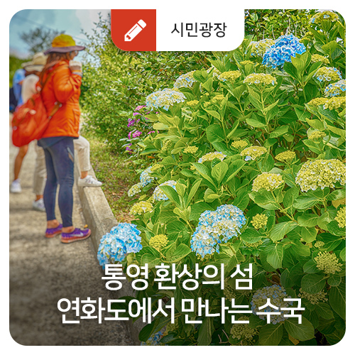  통영 환상의 섬 연화도에서 만나는 수국