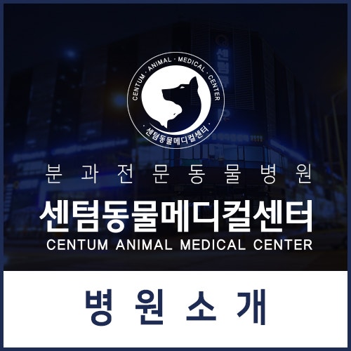 센텀동물메디컬센터 소개 (부산 해운대 분과 전문 365일 연중무휴 동물병원)