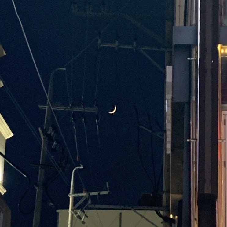  목금일기