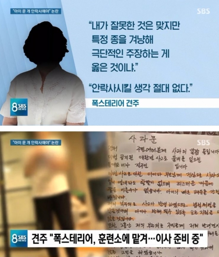  그 폭스테리어 근황