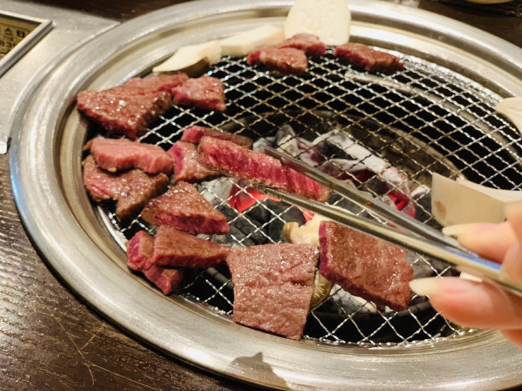  2019년 5월 ❶