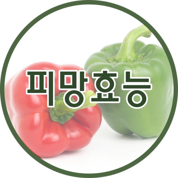  피망 효능 9가지 완벽 정리