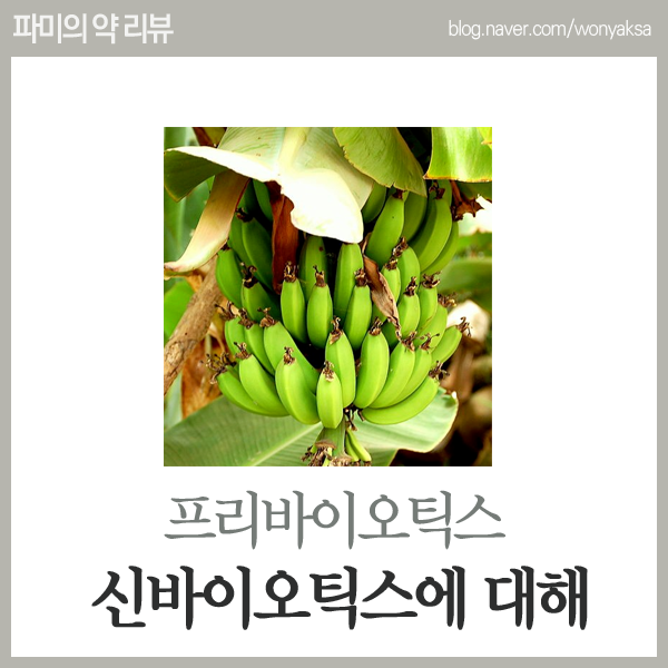  프리바이오틱스 프로바이오틱스 신바이오틱스