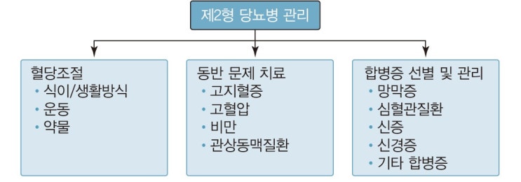  [내분비] 당뇨병 치료(전략) - 관리지침, 치료원칙, 제2형당뇨병, 혈당조절, 저혈당 관리 등 - 리뷰03