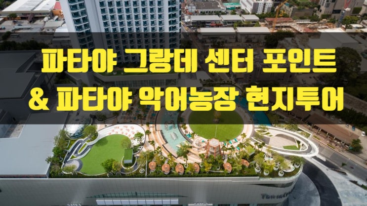  파타야 그랑데 센터포인트 호텔 숙박하고 파타야 악어농장 현지투어 가기