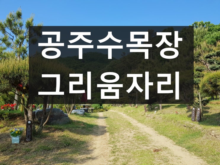  충청도 공주 수목장 가격및 위치 안내드립니다.