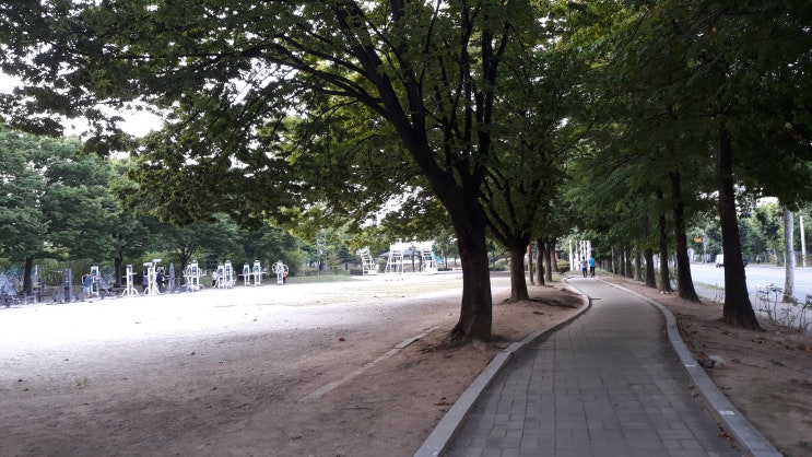  안 하던 일 하기, 새벽 동네 산책
