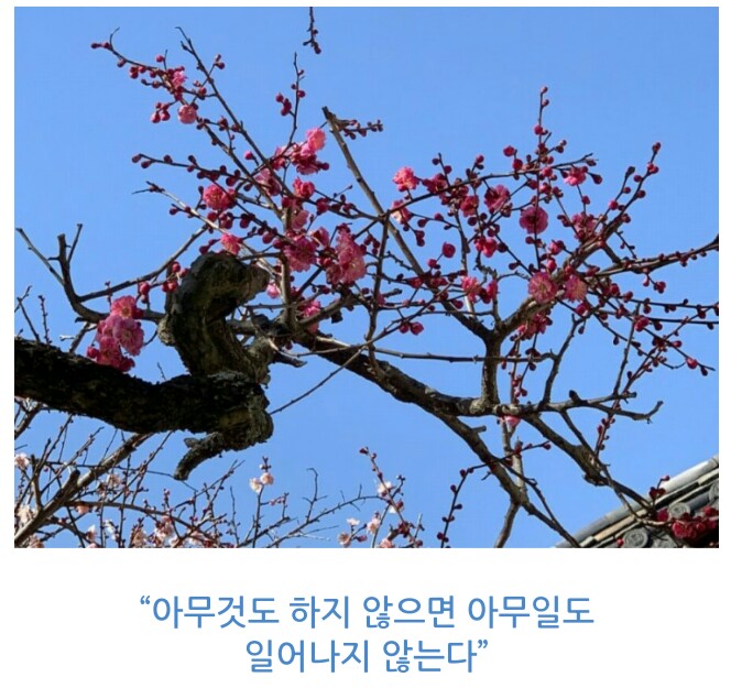 국일제지(국일그래핀)ᆞ그래핀 기술 구글 제품에 적용 테스트 국일제지(국일그래핀)ᆞ그래핀 기술 구글 제품에 적용 테스트
