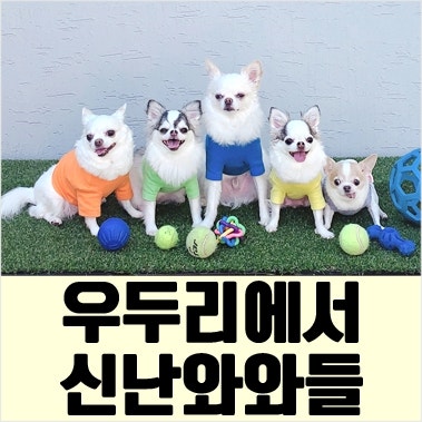 사진 4