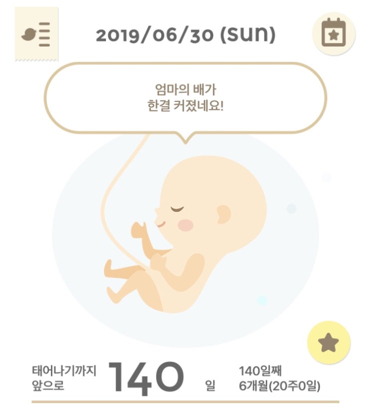  20주를 보내며(지카바이러스/갑상선항진증/케톤뇨)