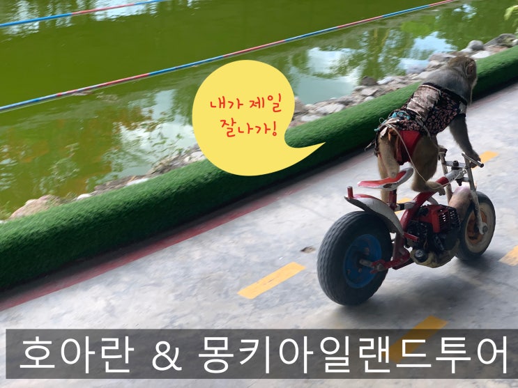  나트랑 몽키아일랜드 리얼후기 ^^