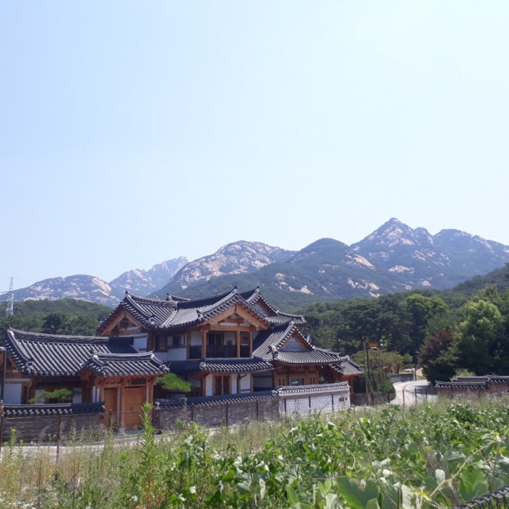  7월5일 북한산 산행