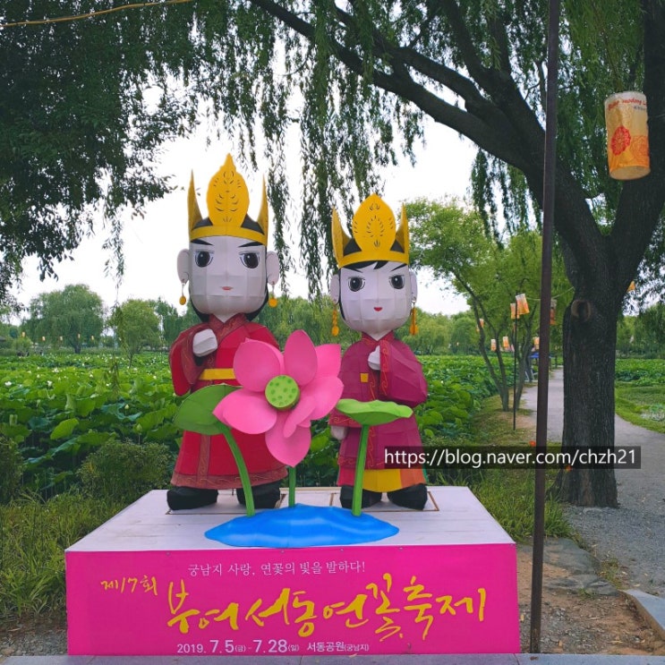  부여 서동 연꽃축제 궁남지