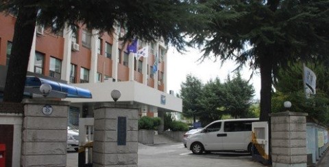  행인 치고 달아난 음주운전 40대 입건 [전남일보]